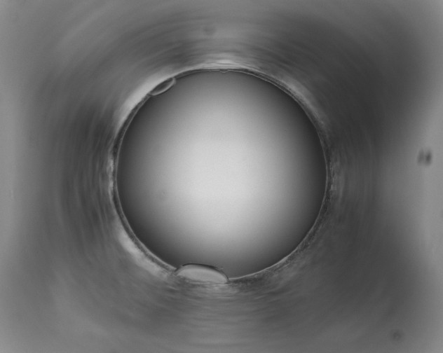 X0000113241476200909241535