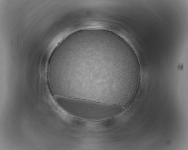 X0000113241477200909241535