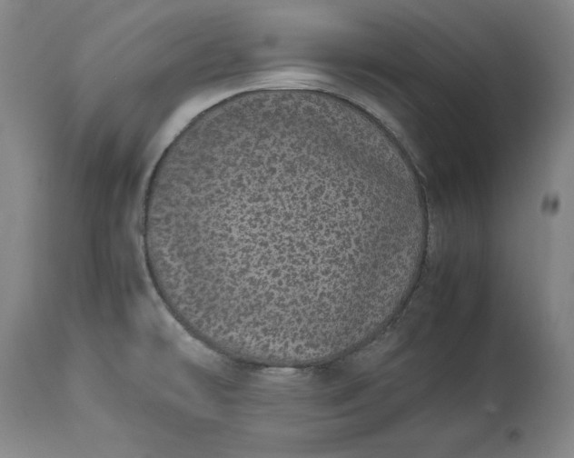 X0000113241478200909241535