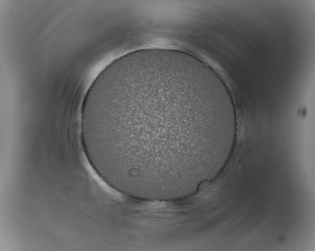 X0000113241479200909241535