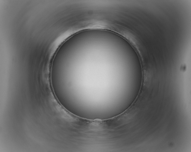 X0000113241480200909241535