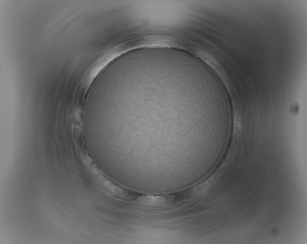 X0000113241481200909241535