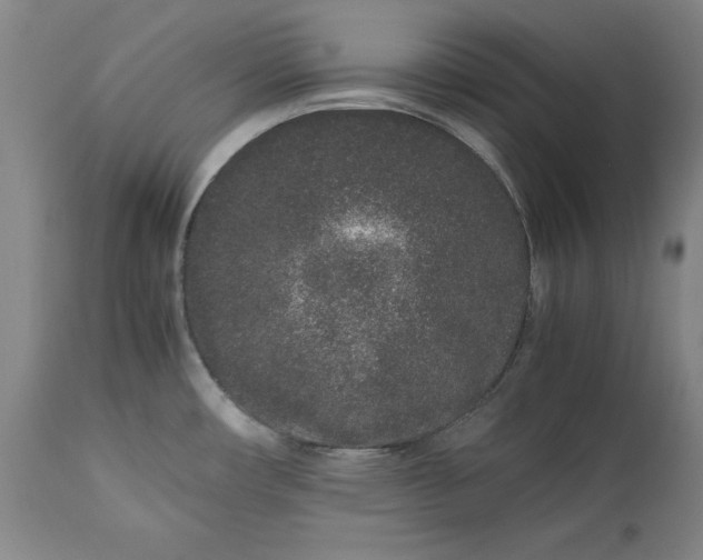 X0000113241482200909241535