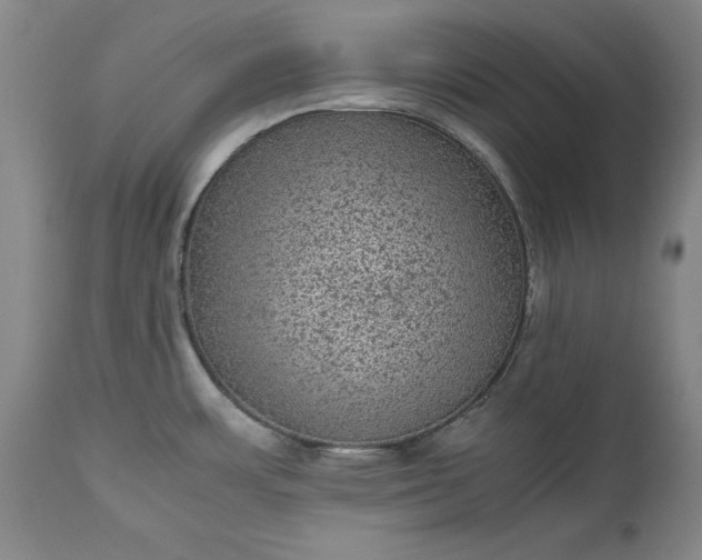 X0000113241483200909241535