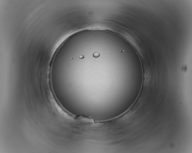 X0000113241484200909241535