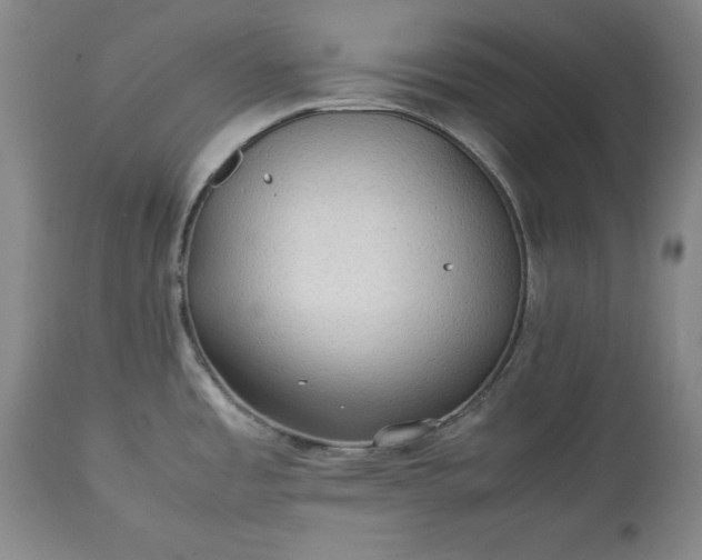 X0000113241485200909241535