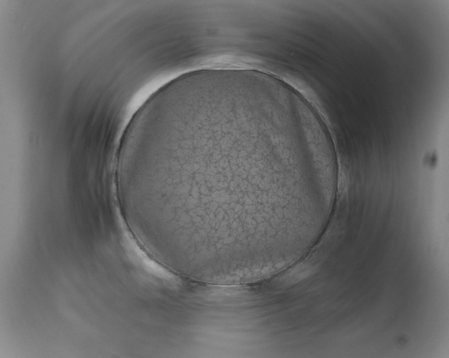 X0000113241486200909241535