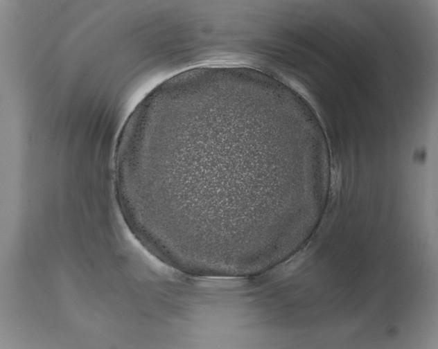 X0000113241487200909241535