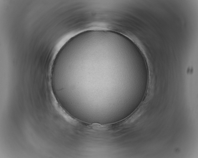 X0000113241488200909241535