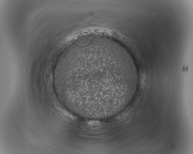 X0000113241489200909241533