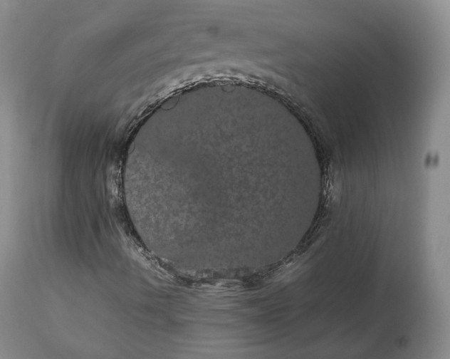 X0000113241490200909241534