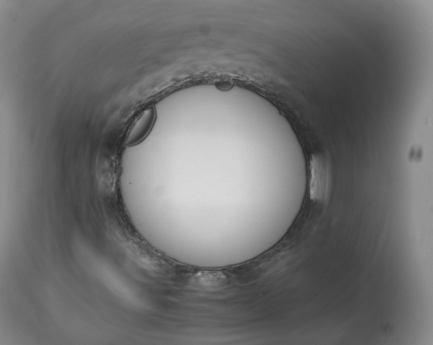 X0000113241491200909241534