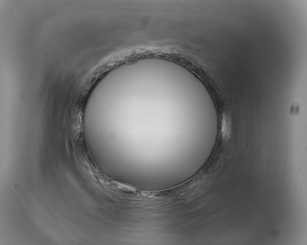 X0000113241492200909241534