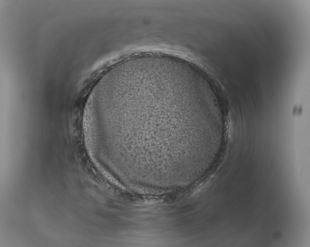 X0000113241494200909241534