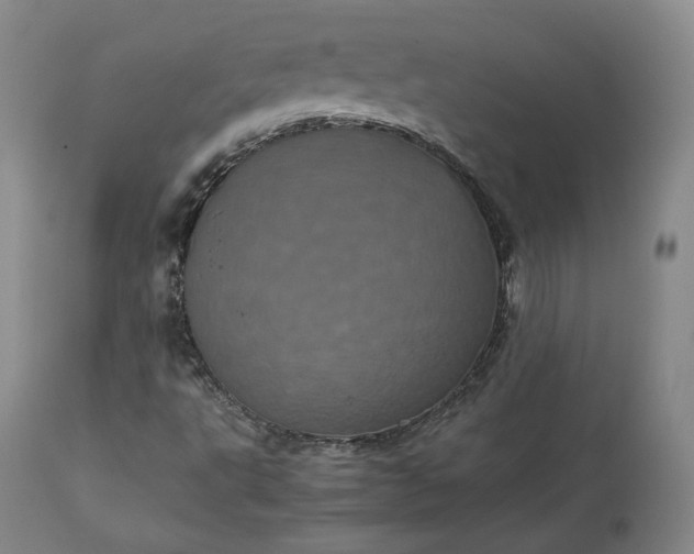 X0000113241495200909241534