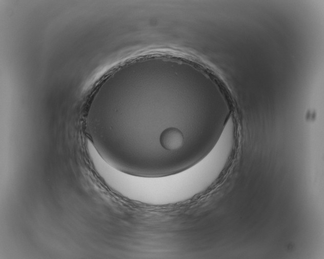 X0000113241496200909241534