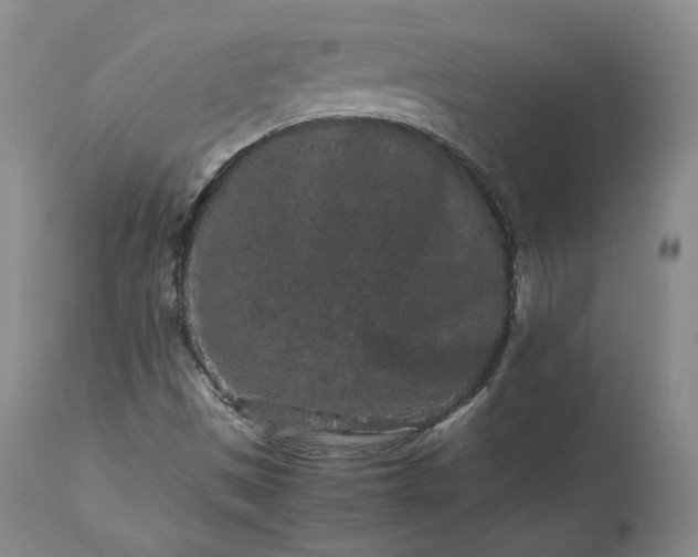 X0000113241497200909241534