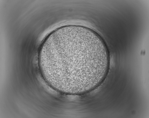 X0000113241498200909241534