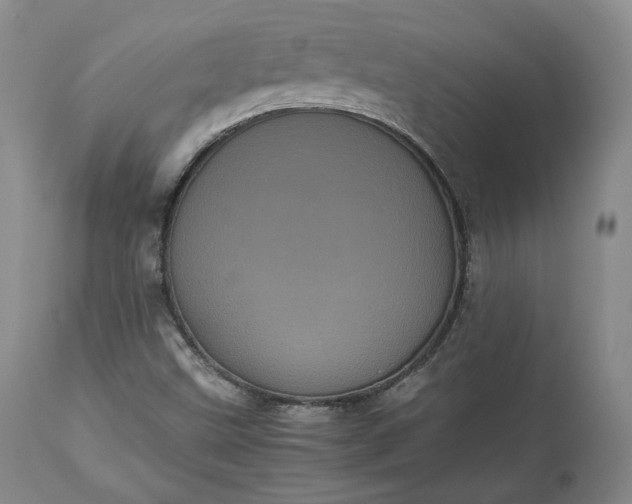 X0000113241499200909241534