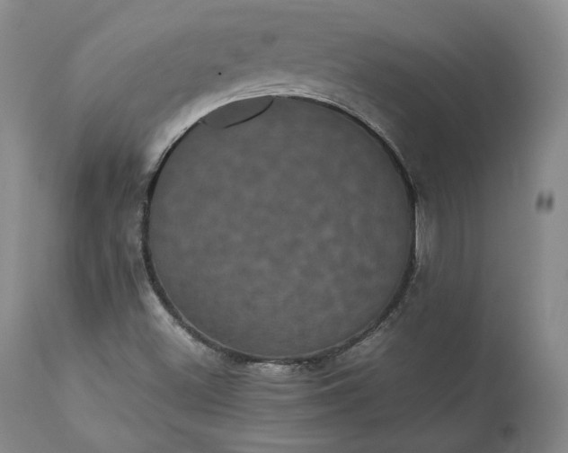 X0000113241500200909241534