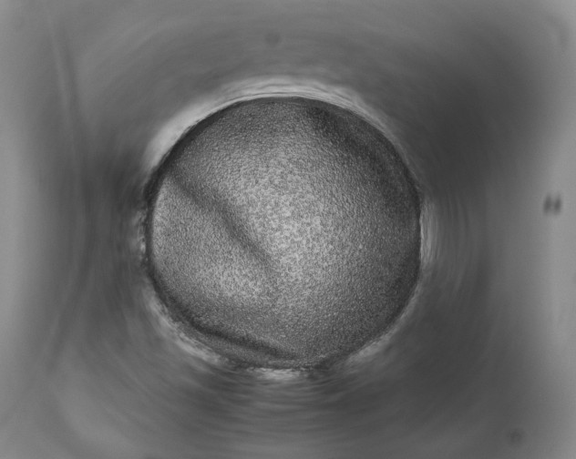 X0000113241501200909241534