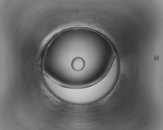 X0000113241502200909241534