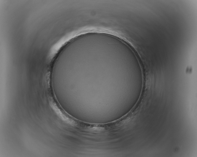 X0000113241503200909241534