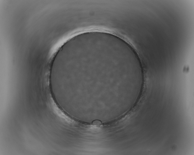 X0000113241504200909241534