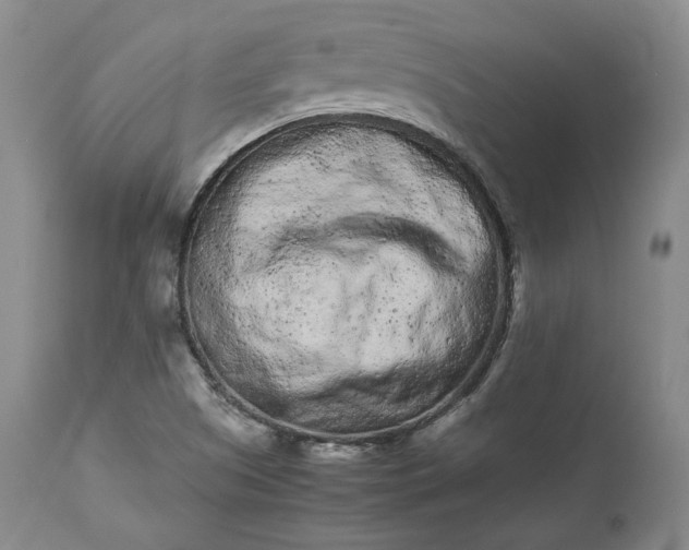 X0000113241505200909241534