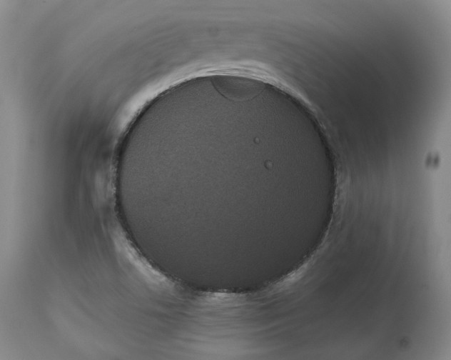 X0000113241506200909241534