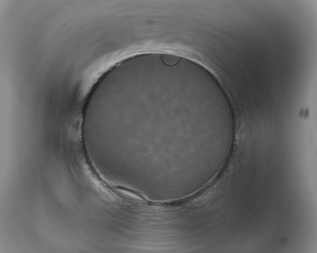 X0000113241507200909241534