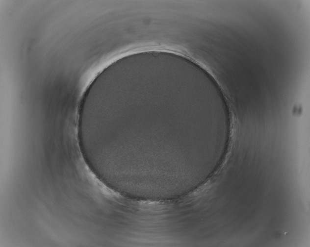 X0000113241508200909241534