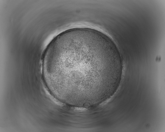 X0000113241509200909241534