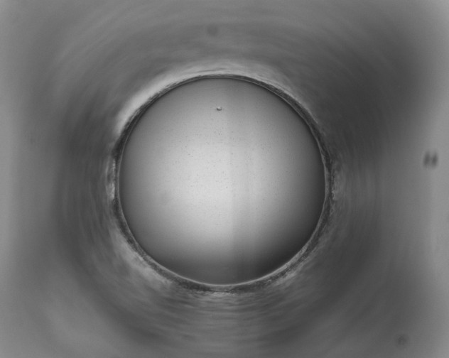 X0000113241510200909241534