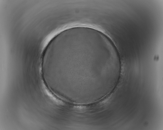 X0000113241511200909241534