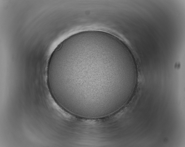 X0000113241512200909241534