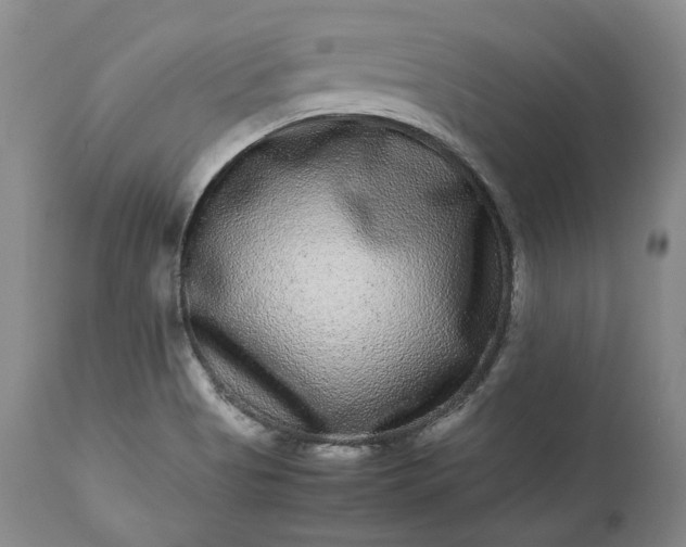 X0000113241513200909241534