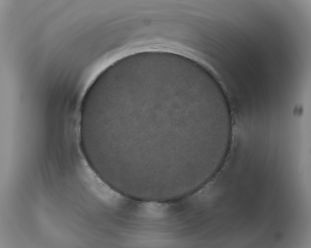 X0000113241514200909241534