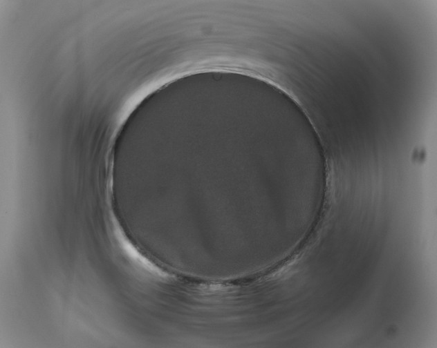 X0000113241515200909241534