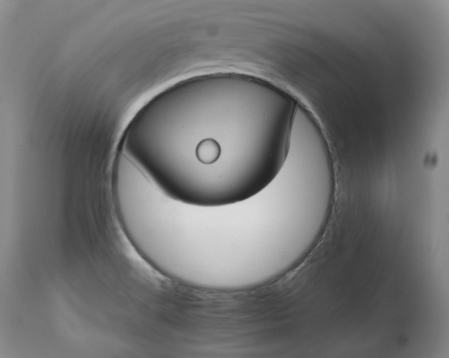 X0000113241516200909241534