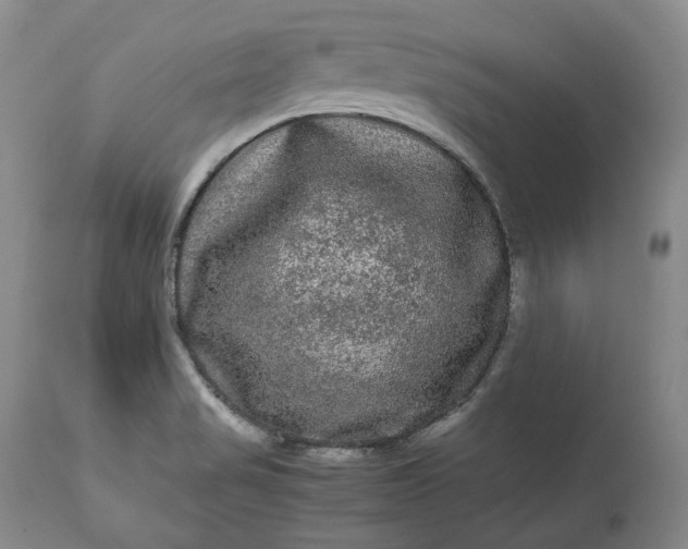 X0000113241517200909241534