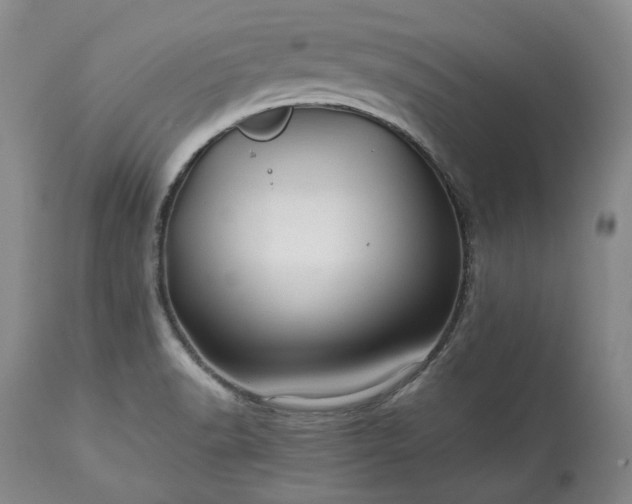 X0000113241518200909241534