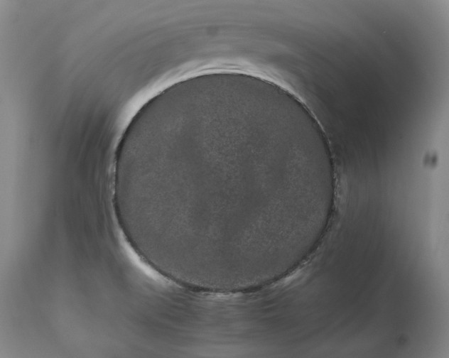 X0000113241519200909241534