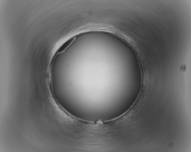 X0000113241520200909241534