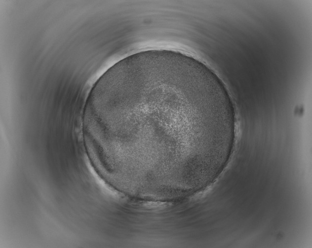 X0000113241521200909241534