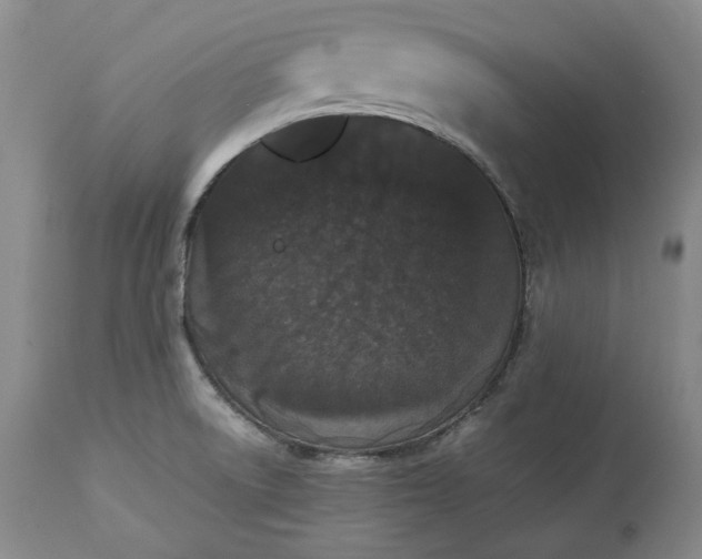 X0000113241522200909241534