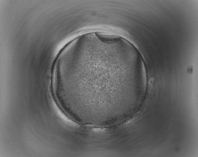 X0000113241523200909241534