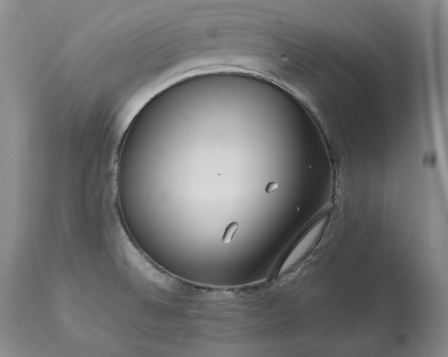 X0000113241524200909241534