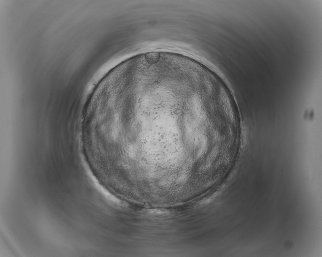 X0000113241525200909241534