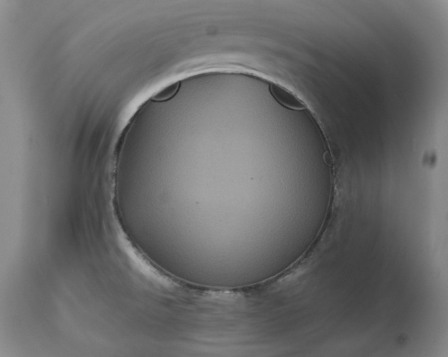 X0000113241526200909241534